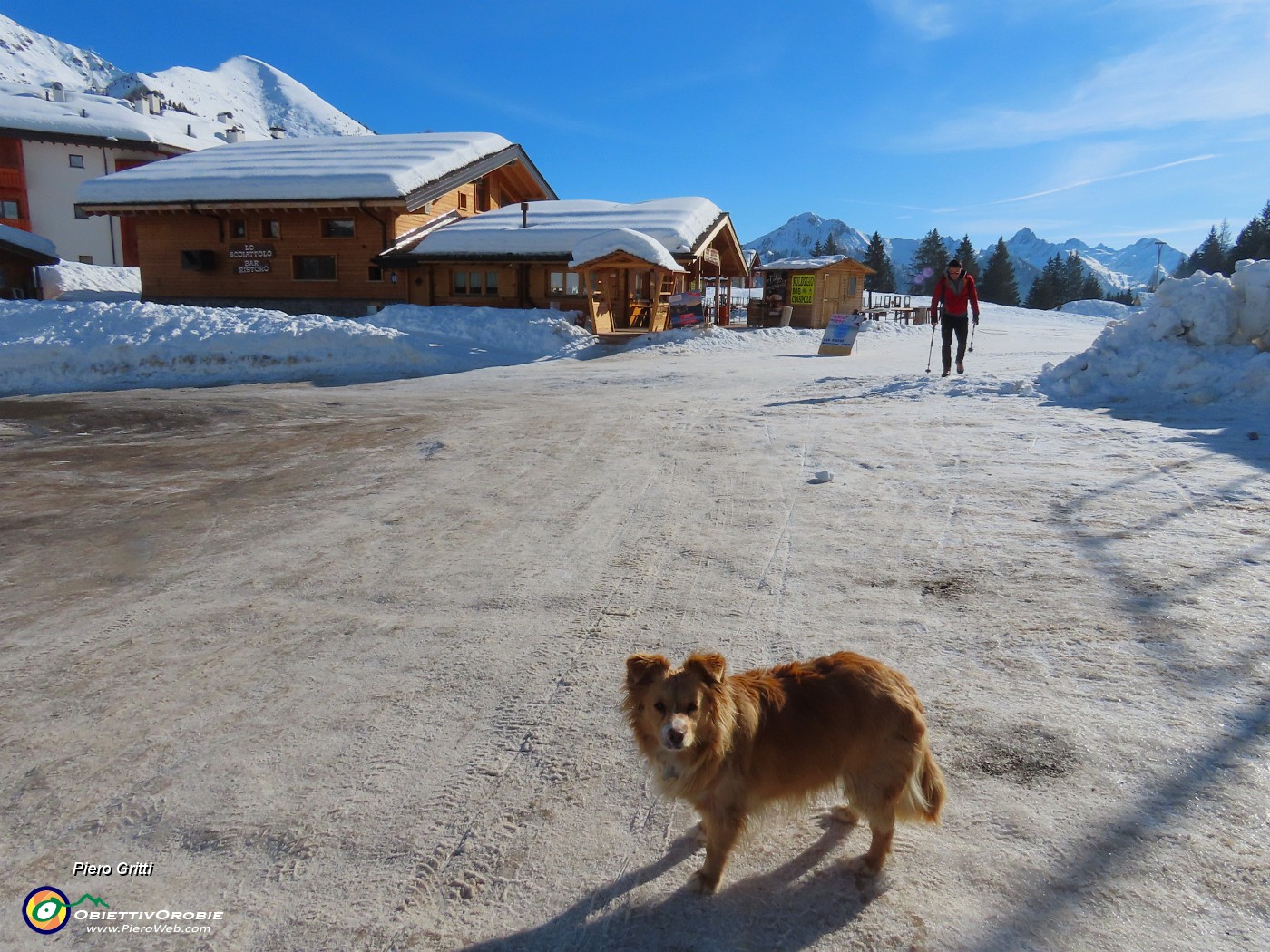 10 Il cagnolino come noi si gode il sole.JPG